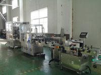 Máquina de llenado de embotellado automático de alta velocidad para mermelada de frutas, salsa de Chile, mayonesa, ensalada, bebidas, motor de vidrio de bajo costo