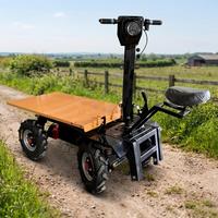 Chariot Électrique Robuste à 4 Roues avec Plateforme Métallique, OEM pour l'Agriculture, les Entrepôts, la Logistique Industrielle, Chariot à Main