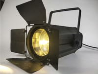 200W Zoom COB Par Can Light Stage DJ Light LED Audience Blinder Disco Club Light DMX pour Show Theatre Studio