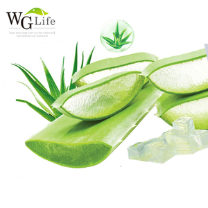 Offre Spéciale gros prix <span class=keywords><strong>aloe</strong></span> <span class=keywords><strong>vera</strong></span> entier de feuille <span class=keywords><strong>gel</strong></span> <span class=keywords><strong>boire</strong></span> du <span class=keywords><strong>jus</strong></span> de vracs dans le tambour pour soins de la peau cheveux produits - Product Image 4