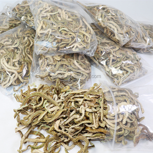 เหยื่อตกปลาแบบแห้งเหยื่อตกปลาแท้100กรัมเหยื่อตกปลาหนอนหนอนธรรมชาติเหยื่อตกปลาแบบแห้ง - Product Image 6