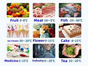 Sala de almacenamiento en frío prefabricada de fácil instalación para conservación de frutas y verduras a largo plazo - Product Image 6
