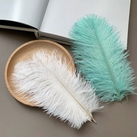 Plumes d'autruche artificielles décoratives colorées de 15-20 cm pour arrière-plan photo tendance et arrangements de gâteaux