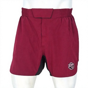 Pantalones Cortos de MMA Blaze Fight Wear OEM, Estilo Urbano, Cintura Elástica, Secado Rápido, Tela Transpirable, Logotipo Personalizado - Product Image 1