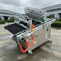 Machine à semer automatique professionnelle pour serres, pépinières, légumes et fleurs