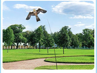Cerf-volant effaroucheur d'oiseaux Aigle Volant avec mât télescopique, dissuasif à énergie éolienne pour le contrôle des pigeons agricoles, vente en gros