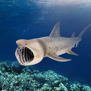 Juguetes de Animales Marinos de PVC Sólido al por Mayor, Modelo de Simulación de Tiburón Bañador, Figuras de Animales - Product Image 1