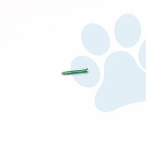 Implante Quirúrgico Veterinario Ortopédico con Tornillo de Bloqueo AO de 1.6mm, 2.4mm, 3.2mm, 4.0mm para Procedimientos de Fijación Ósea en Animales - Product Image 1