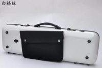SurpassMusica accessoires de violon de haute qualité étui de violon en fibre de carbone de qualité avec sac de partitions à verrouillage par mot de passe