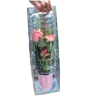 Boîte d'emballage en PET pour pot de plante, format personnalisé, estampage et gaufrage, écologique, recyclable, marque KS, logo personnalisé