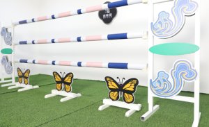 Disesuaikan 1.7m kualitas tinggi berkuda PVC kuda blok lompat untuk latihan tahan air kuda melompat tiang lembut - Product Image 4