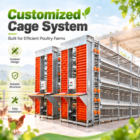 Cage à poules pondeuses en treillis métallique PVC de 25 000 poules, type H, 8 niveaux, conception pour élevage avicole entièrement automatique qianmu