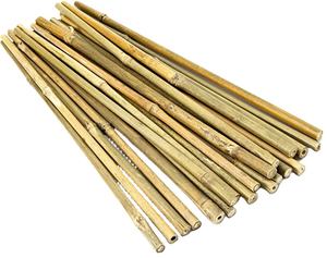 Tutores de Bambú, Adornos de Jardín para Uso Agrícola, Patrocinadores de Plantas - Product Image 2