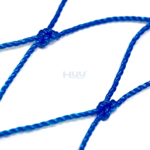Tùy chỉnh HDPE thắt nút chim <span class=keywords><strong>net</strong></span>-Cut-to-Size cho ao cá & trang trại Việt Quất - Product Image 5