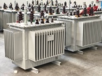 Transformateur triphasé immergé dans l'huile 100 KVA 200 KVA 315 KVA 380V 35KV 11KV 50Hz pour distribution d'énergie