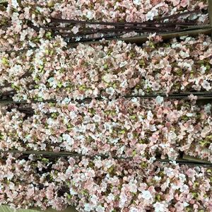 Árbol de cerezo de flor de cerezo japonés con luz para interior, decoración de café, árbol de flor de cerezo para evento temático, decoración de boda - Product Image 1