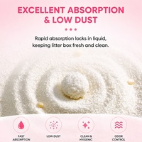 Litière pour chat au manioc à absorption rapide et agglomération rapide, formule avancée, fournisseur d'usine, biodégradable, OEM/ODM, sable de toilette pour animaux de compagnie