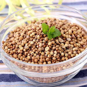 Coriandre entière indienne de qualité supérieure, séchée, 100% naturelle, graines d'épices - Origine Gujarat, 50 kg - Product Image 1
