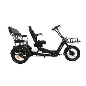 Triciclo Eléctrico de 3 Ruedas de Alta Calidad en Oferta, para Adultos, Doble Asiento, Carga Pesada, Abierto, 2500W, Precio Económico - Product Image 3