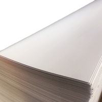 Cartón Ecológico de 300 g/m² con Revestimiento Blanco, Pulpa Reciclada, Cartón Virgen con Reverso Gris Gd2 Dúplex para Impresión Tipográfica