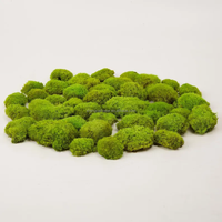 Offre Spéciale : Fleurs Décoratives, Mousse Naturelle, Herbe Séchée Verte, Accessoires DIY Préservés, Ornement de Mariage, Décoration de Jardin, Artisanat