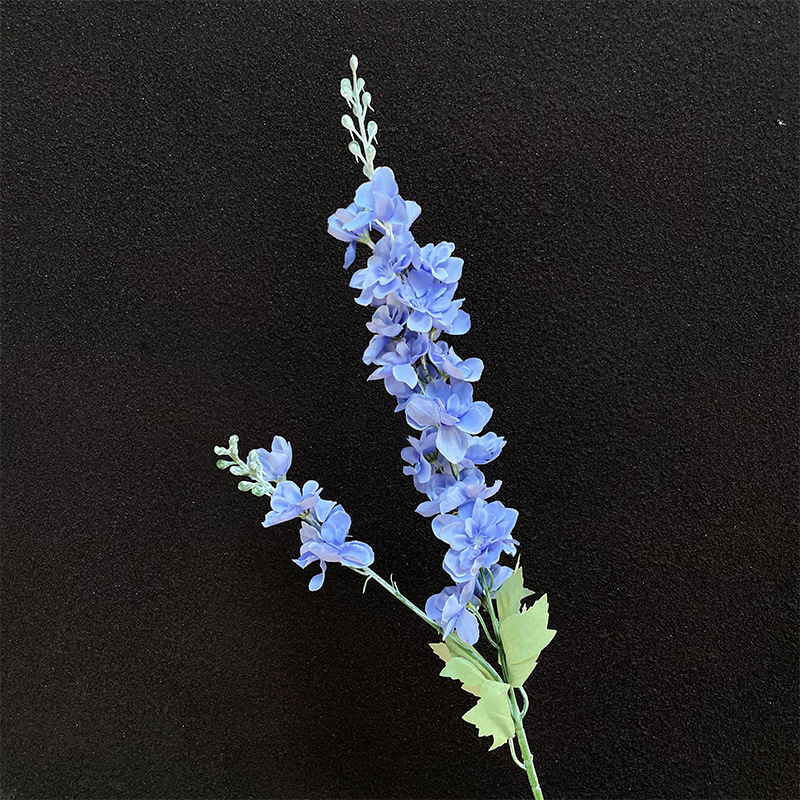 Hirondelle à double fourche bleu-violet