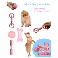 Furrivo - Juego de 4 Juguetes Masticables para Perros de TPR Rosa, para Limpieza Dental Diaria, Dispensador de Golosinas, para Cachorros y Perros Pequeños, OEM Personalizado
