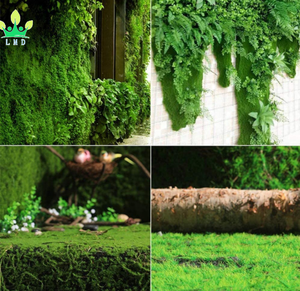 Alfombra <span class=keywords><strong>de</strong></span> Musgo Artificial, Alfombra <span class=keywords><strong>de</strong></span> Césped, <span class=keywords><strong>Plantas</strong></span> Decorativas <span class=keywords><strong>de</strong></span> Seda y Algodón, 1m*1m, Marca Lmd, para Bodas, Hogar, Patio Trasero, Balcón, Uso Interior y Exterior - Product Image 6