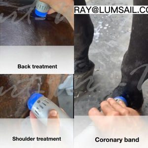 Penggunaan VET <span class=keywords><strong>ESWT</strong></span> fisioterapi peralatan anti guncangan elektrik terapi penghilang nyeri medis elektromagnetik gelombang kejut - Product Image 3