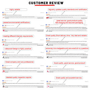 Groothandel Elektrische Konijn Dildo Vibrator Voor Vrouwen Usb Aangedreven Clitoris Massager 10 Frequenties Konijn Vibrator Volwassen Seksspeeltje - Product Image 6