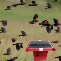 Panneau solaire répulsif à oiseaux ultrasonique avec perles LED haute luminosité faible puissance 14W boîte d'emballage rechargeable dispositif d'oiseaux 100 Watts