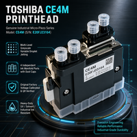 Printhead Ricoh CE4M, Nozzle Presisi Tinggi untuk Printer Inkjet Digital UV Flatbed & Roll-to-Roll, Suku Cadang Pengganti