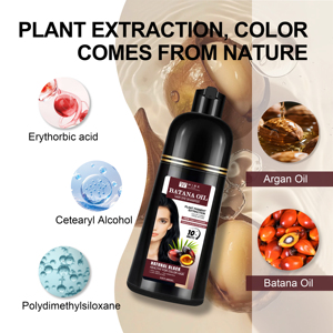 Champú Tinte para el Cabello Batana Negro 400 con Aceite de Argán para un Color Duradero y una Coloración Rápida, No Daña el Cuero Cabelludo, Venta al por Mayor de Fábrica OEM - Product Image 2