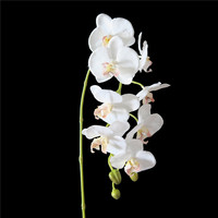 Réaliste orchidée avec sol pot orchidée artificielle en pot pour la décoration de jardin