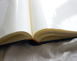 <span class=keywords><strong>Album</strong></span> fotografico rigido personalizzato ricamato a mano copertina unica in lino grande <span class=keywords><strong>Album</strong></span> di nozze per <span class=keywords><strong>foto</strong></span> <span class=keywords><strong>300</strong></span> 4x6 ''<span class=keywords><strong>foto</strong></span> 33*23cm <span class=keywords><strong>foto</strong></span> - Product Image 5