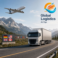 Transitaire Aérien Rapide vers les États-Unis, le Canada, le Royaume-Uni, l'Allemagne - Expédition DDP Express Mondiale Fiable et Économique - Agent de Dropshipping Porte-à-Porte