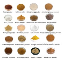 Bubuk Akar Astragalus Kelas Makanan Laris Manis 99% Murni Anti-Penuaan & Peningkat Imunitas Ekstrak Herbal Kemasan Drum