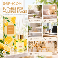 Usine en gros personnalisé Premium verre roseau diffuseur maison parfum désodorisant aromathérapie huile liquide diffuseur cadeau ensemble