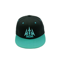 Topi kustom Snapback gaya baru topi Snapback dua warna mahkota biru langit untuk modis