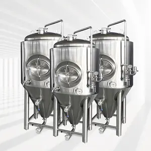 Vente 200L 300L400L 500L 600L 1000L Fermenteur à ensemble complet avec certificats CE et ISO Certification de la cuve de fermentation conique