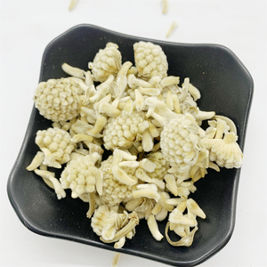 Jie Gu Mu Hua, fleurs de <span class=keywords><strong>sureau</strong></span> séchées de haute qualité, Sambucus Nigra naturel pour le thé - Product Image 5