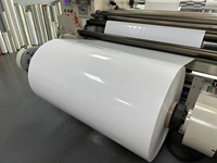 Vente directe d'usine MATTE Tpu Hydrogel Film Roll