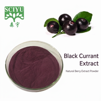 Extrait de Cassis en Poudre Qualité Alimentaire 100% Hydrosoluble Haute Teneur en Anthocyanes Extraction par Solvant Emballage Fût 20kg