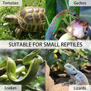 Habitat pour tortue, grande maison en bois d'intérieur, roues, enclos extérieur pour tortue, reptile, imperméable, anti-fuite - Product Image 5
