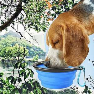 Custom Logo <b>Foldable</b> Silicone Dog Tableware, Small Outdoor <b>Water</b> <b>Bottle</b> and Feeding Bowl for Pets - Product Image 2