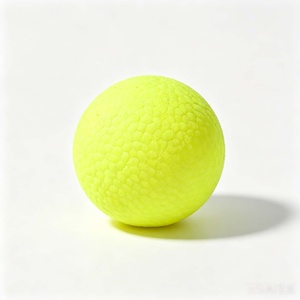 Balle de jeu <span class=keywords><strong>pour</strong></span> animaux de compagnie en ETPU solide résistante à l'usure avec fonction flottante, balle de jeu <span class=keywords><strong>pour</strong></span> <span class=keywords><strong>chien</strong></span> à rebond élevé <span class=keywords><strong>pour</strong></span> jeu interactif sur terre et dans l'<span class=keywords><strong>eau</strong></span> - Product Image 6