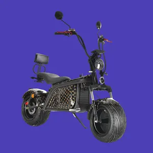 2023折りたたみ式1500Wシティココモペット電動バイクシート付きパワフルモビリティスクーター