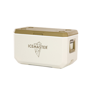Nevera Portátil de Gran Capacidad de 47L para la Playa, Fácil de Transportar - Product Image 2