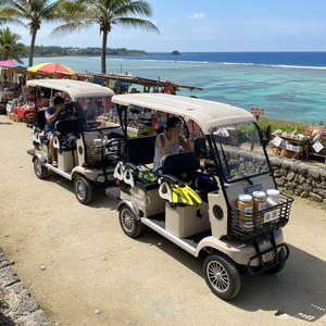 Quadricycle électrique HLD Zero Pollution pour hôtels et complexes hôteliers, disponible en plusieurs couleurs avec <span class=keywords><strong>pare</strong></span>-<span class=keywords><strong>brise</strong></span>, type voiturette de golf - Product Image 2