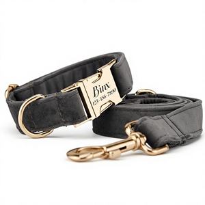 Ensemble collier et laisse pour chien personnalisé gris foncé Veet, nœud papillon, gravure personnalisée du nom de l'animal, boucle en métal, cadeau d'anniversaire pour chiot, livraison gratuite - Product Image 1